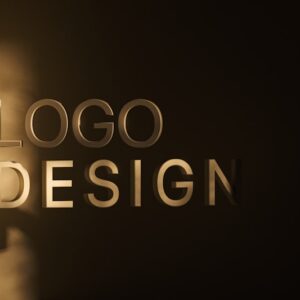 Logo Digitizing Fee